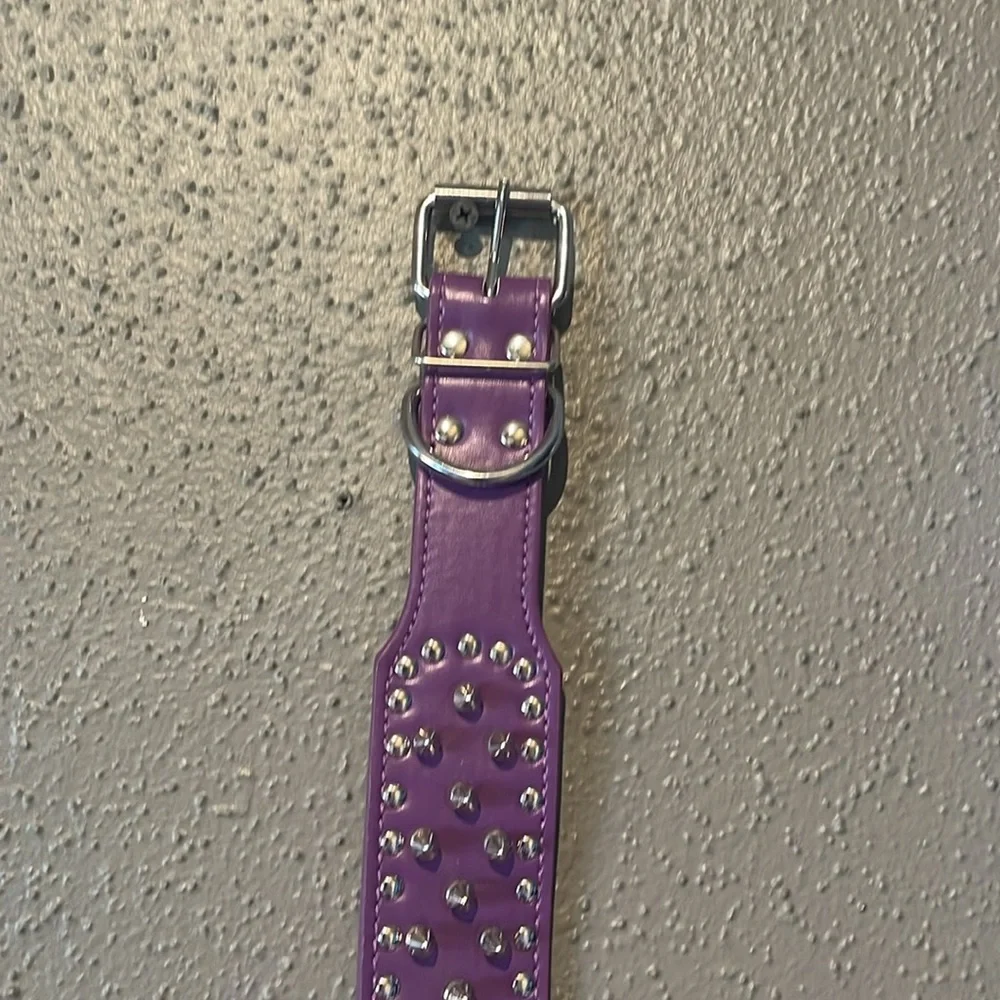 Dogs Purple Spiked Studded Dog Collar